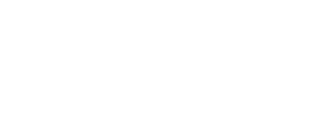  + Gr ndliche Basisanalyse durch unsere Experten + Einsatz von Bautrocknern mit moderner Kondensationstechnik + Bei B...