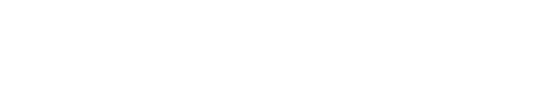 + Lastb nke von 100 kW bis 6.3 MVA + Mehrere Einheiten koppelbar mit zentraler Steuerung + Abnahme und Wartungstests ...
