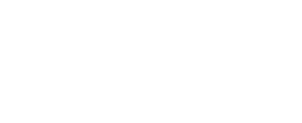  + Gr ndliche Basisanalyse durch unsere Experten + Einsatz von Bautrocknern mit moderner Kondensationstechnik + Bei B...