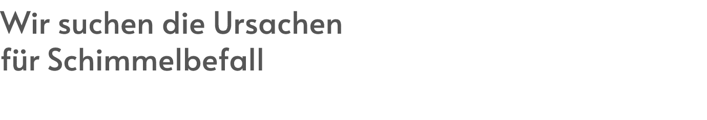 Wir suchen die Ursachen f r Schimmelbefall